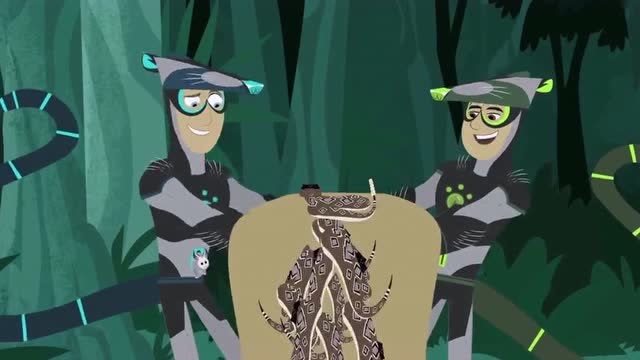 动物兄弟动物兄弟变身负鼠超人连响尾蛇都不怕太厉害了