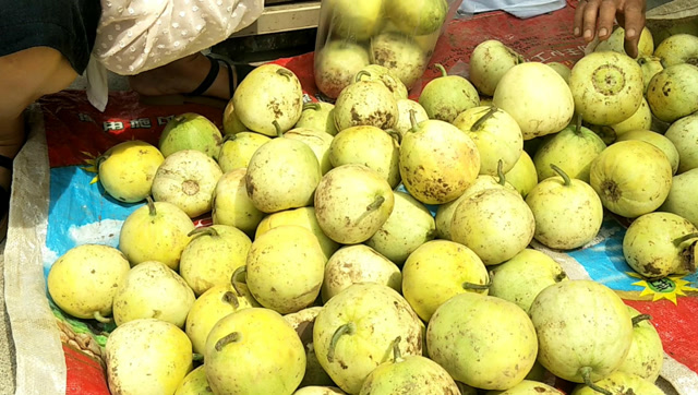 河南人说歪瓜疙瘩梨好吃,这种瓜味道绝对一流保证尝过不后悔