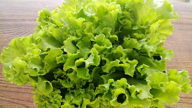 广式白灼生菜 爽脆清甜 很多人没注意这个步骤 所以做差点味道