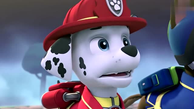 汪调皮捣蛋猫咪大队偷走武功秘籍,汪汪队却拿不回来