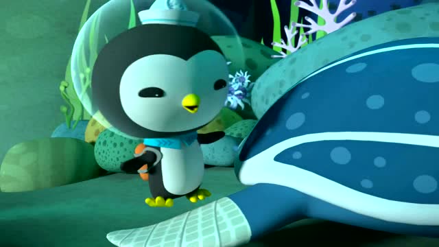 海底小纵队:虎鲨什么东西都吃虎鲨也觉得自己的肚子疼