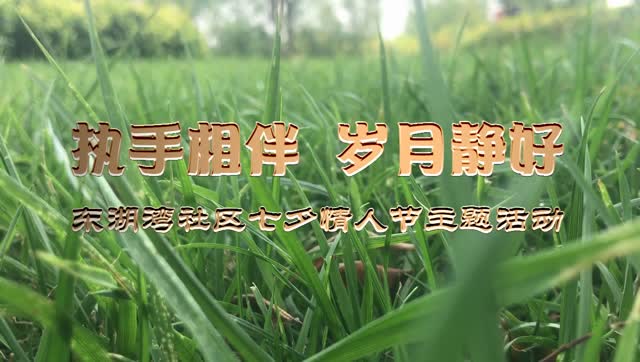 东湖湾社区"执手相伴,岁月静好"七夕节活动