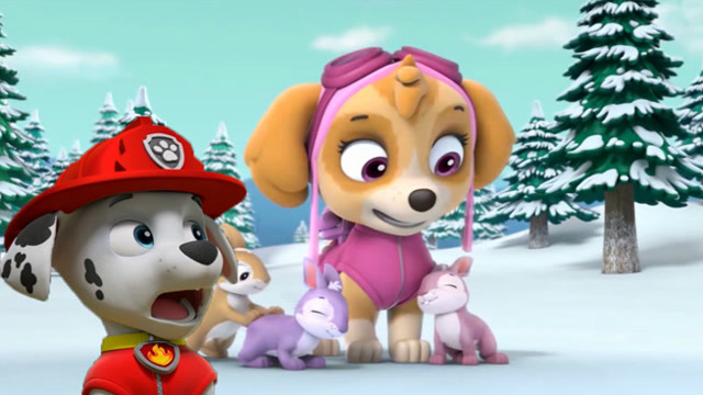 狗狗巡逻队 天天迷路得到毛毛帮助 汪汪队立大功