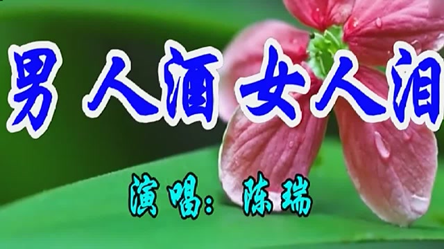 陈瑞一首经典情歌《男人酒女人泪》好听极了