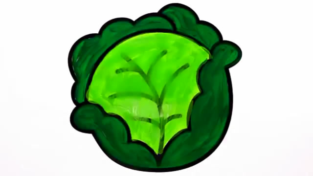 儿童简笔画:卷心菜画画