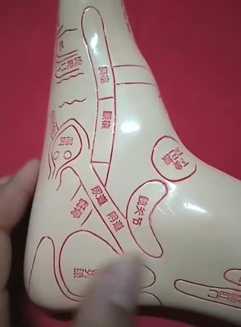 经常按摩足部的子宫反射区,能缓解宫颈淤堵造成的妇科病!