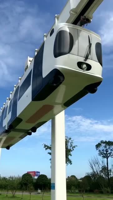 活久见,这什么现代化高科技交通工具,长见识了!