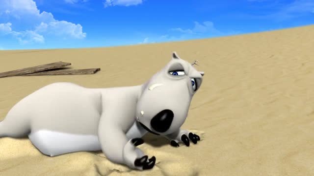 爆笑动物:倒霉熊真倒霉,一个鸟屎引发的搞笑事情