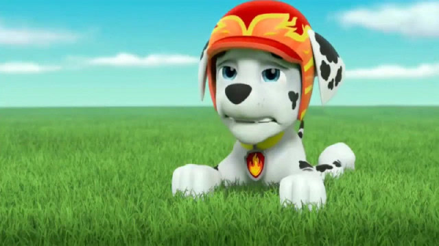 《汪汪队立大功》莱德:机器狗,该是你出动的时候了!