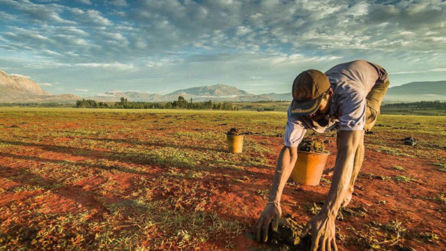 非洲的哈扎人为何不愿种地?哈扎人:种地太落后,还不如这样做!