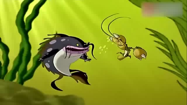 肥鲶鱼和大龙虾打起来了,竟然只是为了争最强的手下!