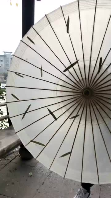 这是油纸伞么?看着好怪