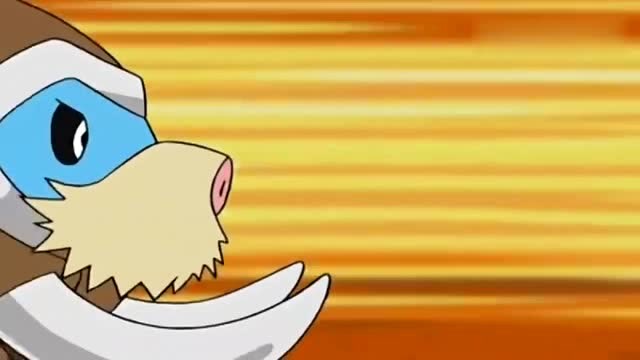 神奇宝贝,小光的长毛猪进化成象牙猪后,完全失控了