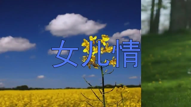 童丽献唱歌曲《女儿情》,具有感染力,声出金石