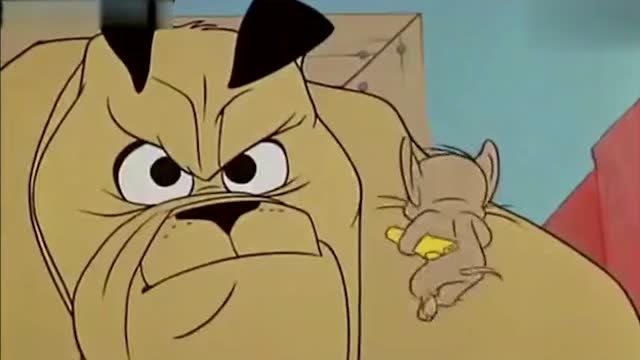 猫和老鼠:杰瑞的新保镖,大黄狗!