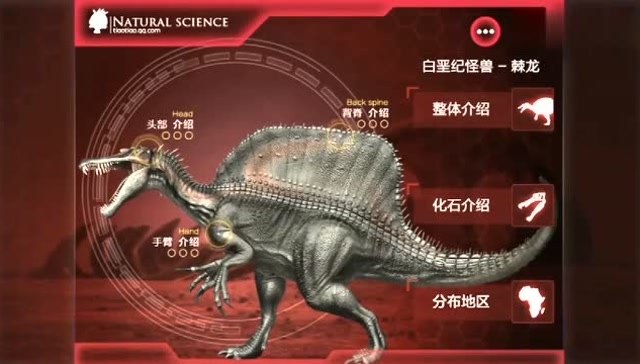 袋鼠跳跳棘龙主要生存于早白垩纪的非洲