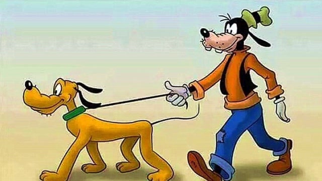 米老鼠高飞与布鲁托同样是狗凭什么差距就这么大呢