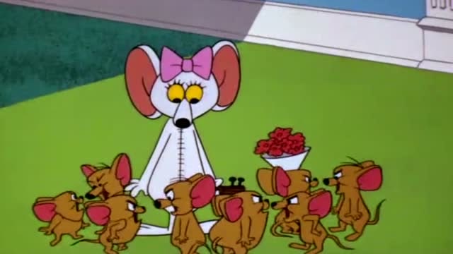 猫和老鼠:变成老鼠的汤姆,吸引来了很多的猫!