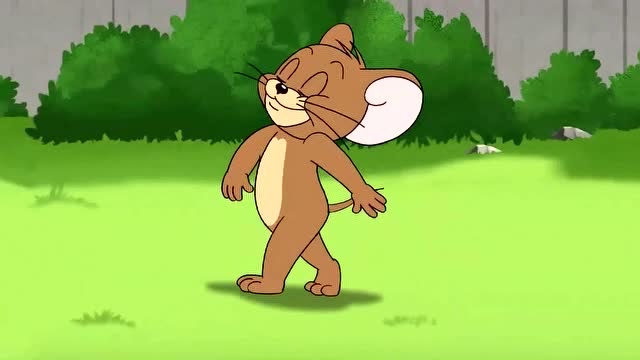猫和老鼠:小老鼠杰瑞的漂移技术了得啊,汤姆直接从楼梯上掉下去了