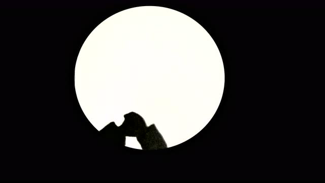 20190313《鲨鱼与座头鲸》d5-31&16 阿夏手影