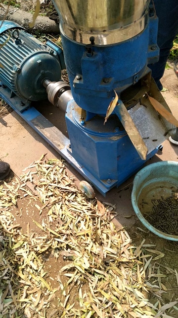 210型饲料颗粒机,树枝树叶制粒,效果非常好!