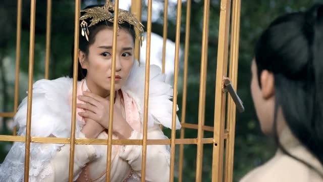 倾世妖颜:魏鸣君逃命却偶遇落难的依依郡主,并且救她出笼子!