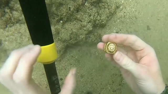 水下寻宝是赚到了,短短几个小时挖到的都是大物件,太诱人了