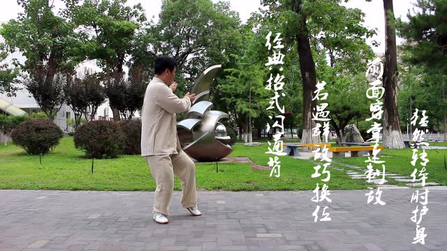 陈泽峰太极拳老架一路 23 闪通背