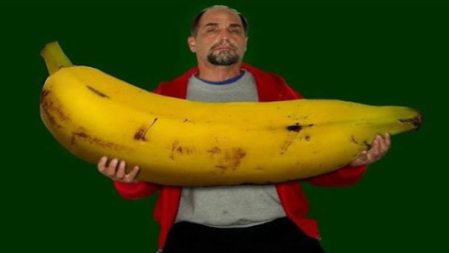 世界上最粗的香蕉,随便1根都比手臂粗,2个人都吃不完!