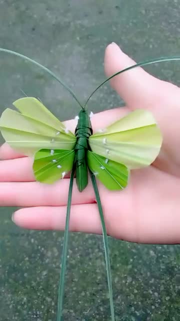 纯手工棕叶编织蝴蝶!