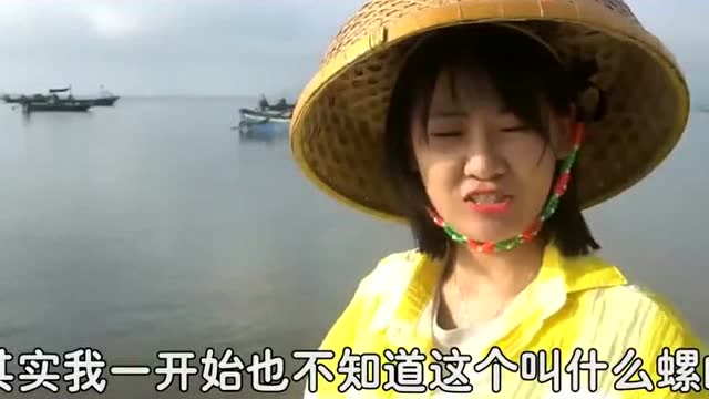 赶海小姐姐捡到一个月亮贝,拿在手里漂亮极了,你们见过吗?