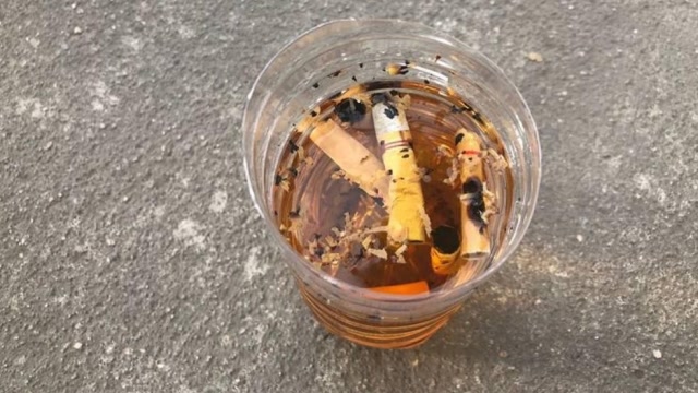 抽剩的烟头用这种"水"泡一泡,特别值钱,全家人见了都夸聪明