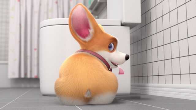 飞狗moco  短腿小柯基:主人说金钱如粪土,让我尝尝这个粪土有什么不一