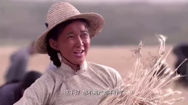 村民把一万斤麦子全埋在一亩地里,只为了向领导吹嘘产量