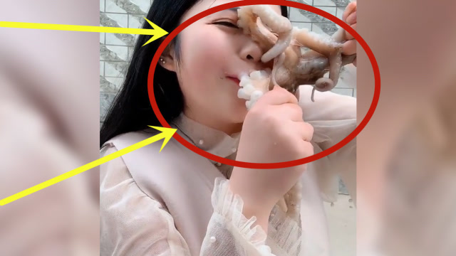 美女生吃活章鱼没想到被章鱼吸盘敷脸美女当场毁容