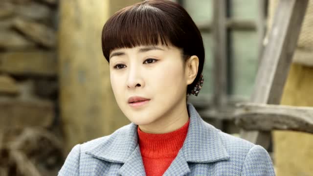 养母的花样年华:林秋雯在跟妹夫聊天的时候,妹妹来了