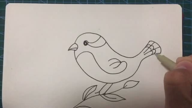 简笔画黄鹂鸟的画法记得收藏关注呦