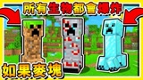 我的世界 如果麦块全部都变Creeper 超级爆炸你能够存活30秒吗