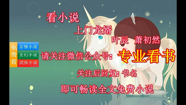 上门龙婿叶辰萧初然免费