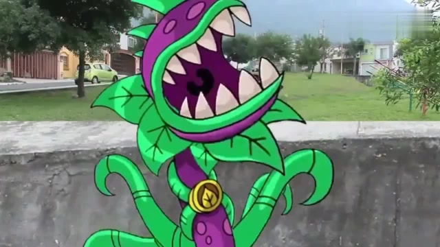 植物大战僵尸食人花吃僵尸太恐怖了