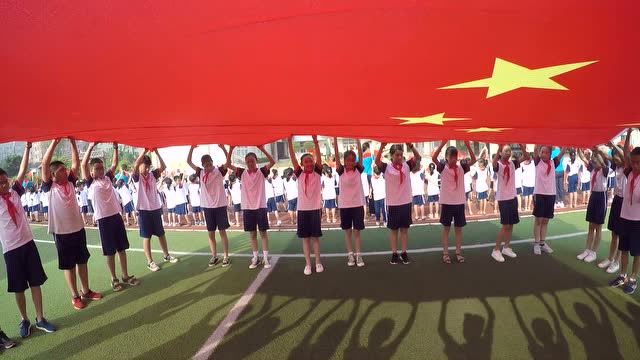 我和我的祖国(沧联小学庆祝新中国成立70周年快闪活动)