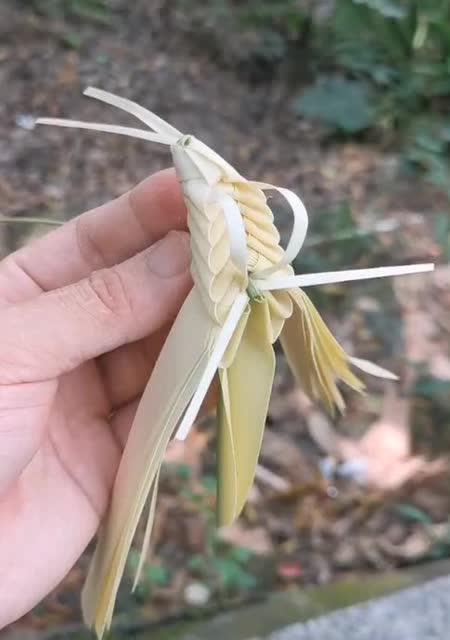 手工编织的蚂蚱!这样的手艺!估计很少人能做到了