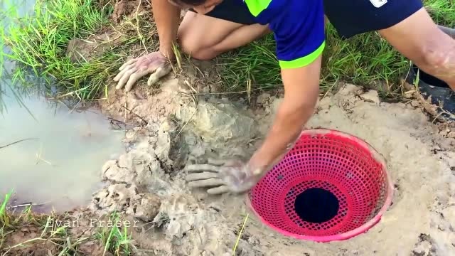 国外小伙用垃圾桶在野外制作陷阱来抓螃蟹,结果收获太出人意料!