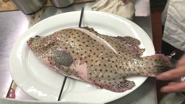 大排档清蒸老鼠斑,最昂贵的石斑鱼,这是道硬菜!