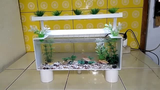 pvc管做景观鱼缸,几十块做出上千元的效果,这创意我给满分