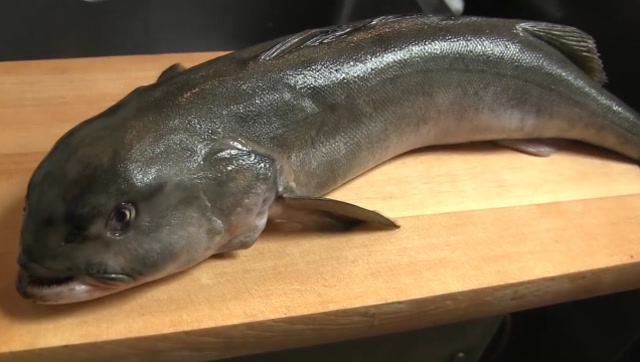 日本人用银鳕鱼做成寿司,一口一个,真是太满足了