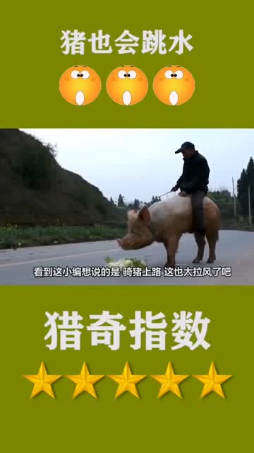 古有唐僧骑马西天取经,今有大爷骑八戒上街买菜,同样是坐骑怎么差距