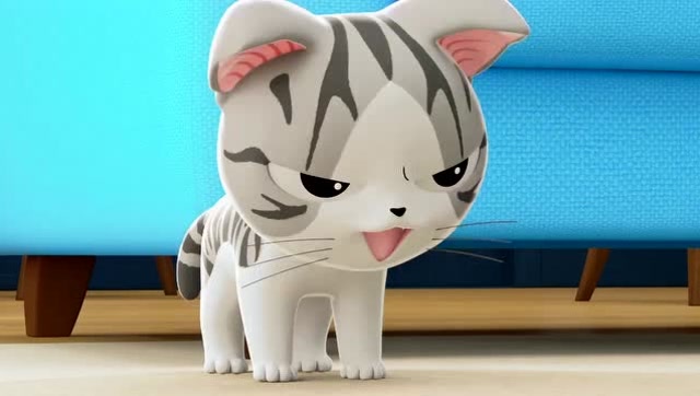 《甜甜私房猫》小奇超级可爱的哦