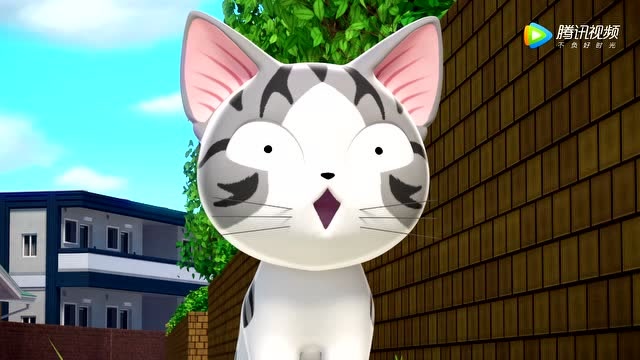 《甜甜私房猫》小奇今天真是太可爱了