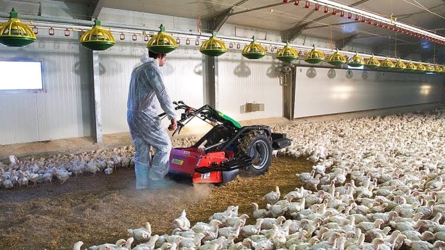 这才叫真正的养殖场!德国高科技太牛了,大开眼界